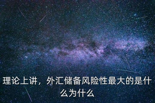 理論上講，外匯儲(chǔ)備風(fēng)險(xiǎn)性最大的是什么為什么