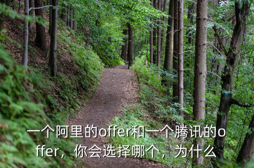 一個(gè)阿里的offer和一個(gè)騰訊的offer，你會(huì)選擇哪個(gè)，為什么