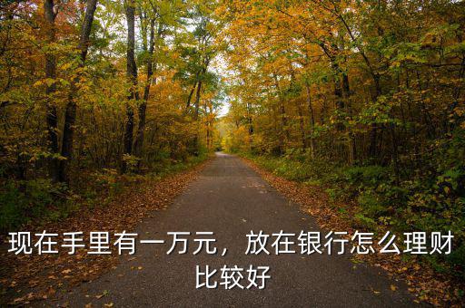現(xiàn)在手里有一萬(wàn)元，放在銀行怎么理財(cái)比較好
