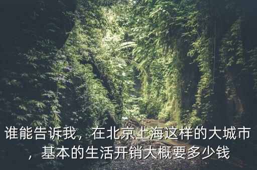 誰能告訴我，在北京上海這樣的大城市，基本的生活開銷大概要多少錢