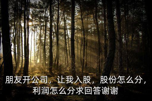 朋友開公司，讓我入股，股份怎么分，利潤(rùn)怎么分求回答謝謝