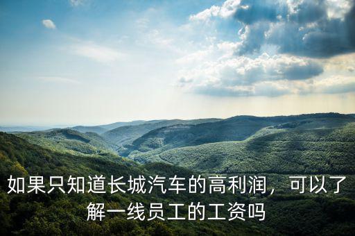 如果只知道長城汽車的高利潤，可以了解一線員工的工資嗎