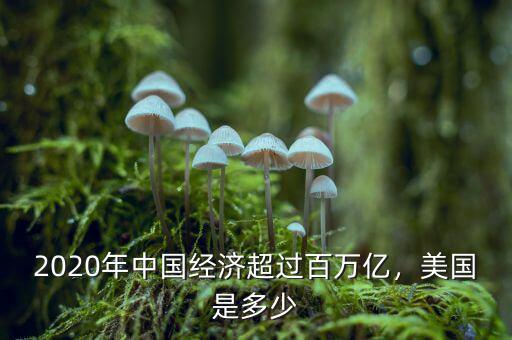 2020年中國經(jīng)濟超過百萬億，美國是多少