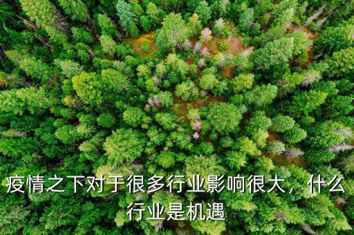 疫情之下對于很多行業(yè)影響很大，什么行業(yè)是機(jī)遇