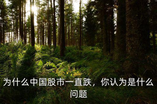 為什么中國股市一直跌，你認(rèn)為是什么問題