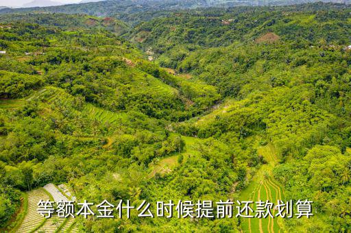 提前還款什么時(shí)候合適,銀行房貸提前還款的話(huà)