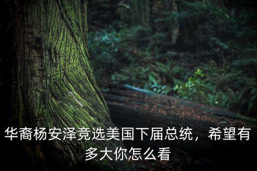 華裔楊安澤競(jìng)選美國(guó)下屆總統(tǒng)，希望有多大你怎么看