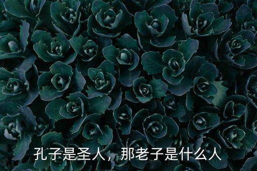 孔子是圣人，那老子是什么人