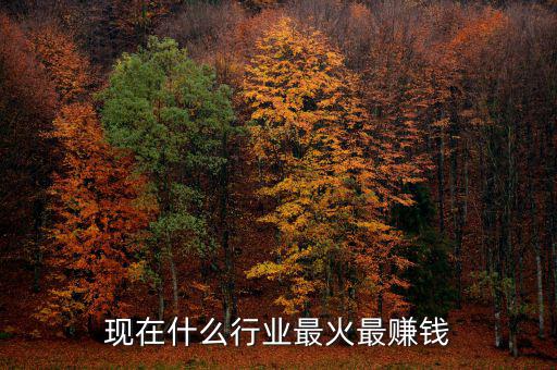 現(xiàn)在什么行業(yè)最火最賺錢