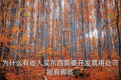 為什么有些人買東西需要開(kāi)發(fā)票用處可能有哪些