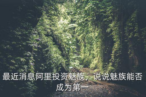 最近消息阿里投資魅族，說說魅族能否成為第一