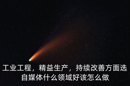 工業(yè)工程，精益生產(chǎn)，持續(xù)改善方面選自媒體什么領(lǐng)域好該怎么做