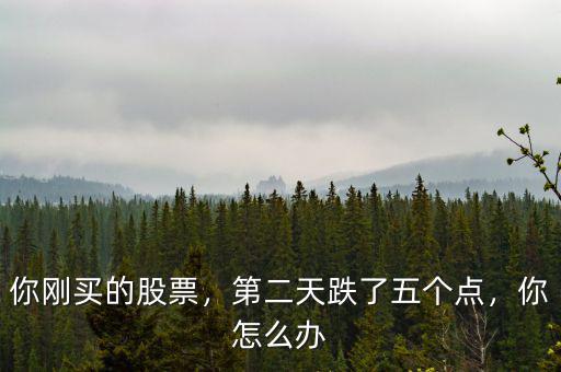你剛買(mǎi)的股票，第二天跌了五個(gè)點(diǎn)，你怎么辦