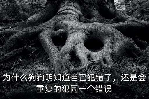 為什么狗狗明知道自己犯錯了，還是會重復(fù)的犯同一個錯誤