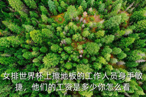 女排世界杯上擦地板的工作人員身手敏捷，他們的工資是多少你怎么看