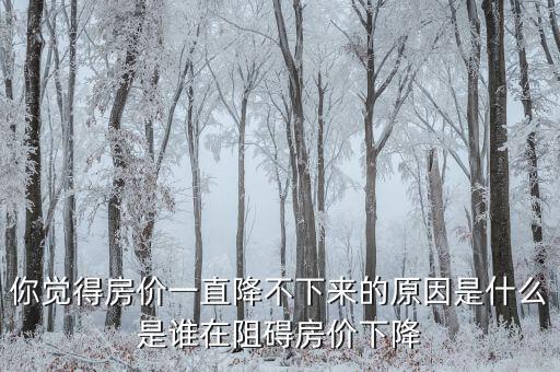 你覺(jué)得房?jī)r(jià)一直降不下來(lái)的原因是什么是誰(shuí)在阻礙房?jī)r(jià)下降