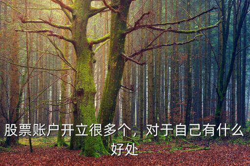 股票賬戶開立很多個(gè)，對(duì)于自己有什么好處
