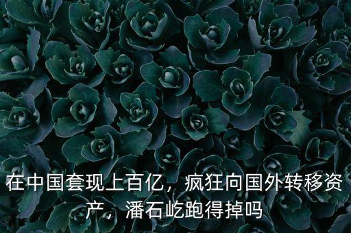 在中國(guó)套現(xiàn)上百億，瘋狂向國(guó)外轉(zhuǎn)移資產(chǎn)，潘石屹跑得掉嗎