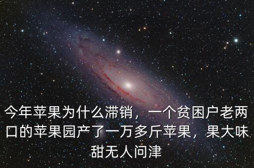 今年蘋果為什么滯銷，一個貧困戶老兩口的蘋果園產了一萬多斤蘋果，果大味甜無人問津