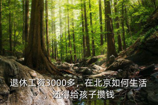 退休工資3000多，在北京如何生活，還得給孩子攢錢