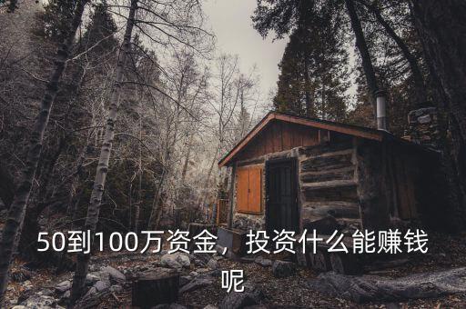 50到100萬(wàn)資金，投資什么能賺錢呢