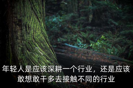 年輕人是應(yīng)該深耕一個(gè)行業(yè)，還是應(yīng)該敢想敢干多去接觸不同的行業(yè)
