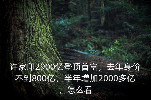 許家印2900億登頂首富，去年身價不到800億，半年增加2000多億，怎么看