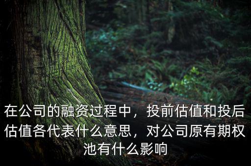在公司的融資過(guò)程中，投前估值和投后估值各代表什么意思，對(duì)公司原有期權(quán)池有什么影響