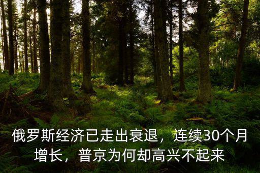 俄羅斯經(jīng)濟(jì)已走出衰退，連續(xù)30個(gè)月增長(zhǎng)，普京為何卻高興不起來(lái)