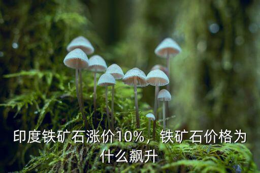 印度鐵礦石漲價(jià)10%，鐵礦石價(jià)格為什么飆升
