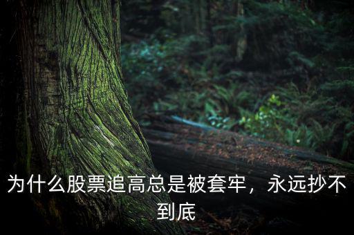 為什么股票追高總是被套牢，永遠(yuǎn)抄不到底