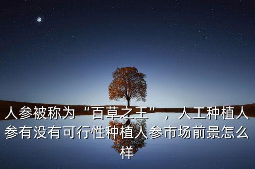 人參被稱為“百草之王”，人工種植人參有沒有可行性種植人參市場(chǎng)前景怎么樣
