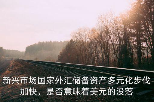 新興市場(chǎng)國(guó)家外匯儲(chǔ)備資產(chǎn)多元化步伐加快，是否意味著美元的沒(méi)落