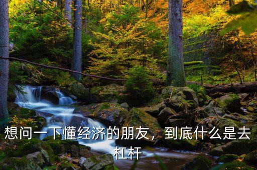 想問一下懂經(jīng)濟(jì)的朋友，到底什么是去杠桿