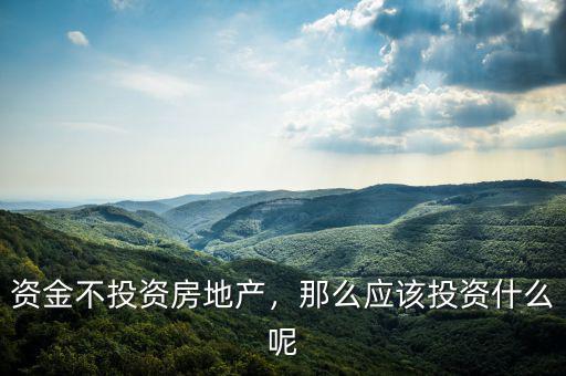 資金不投資房地產(chǎn)，那么應該投資什么呢