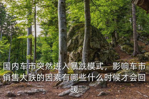國(guó)內(nèi)車(chē)市突然進(jìn)入暴跌模式，影響車(chē)市銷(xiāo)售大跌的因素有哪些什么時(shí)候才會(huì)回暖