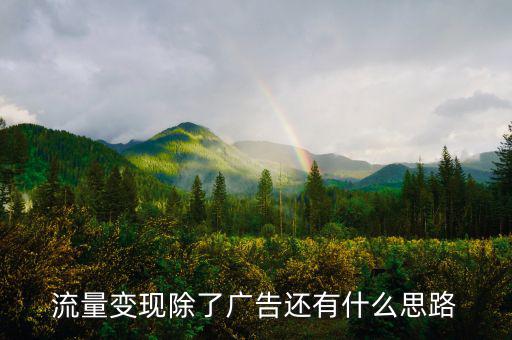 流量變現除了廣告還有什么思路