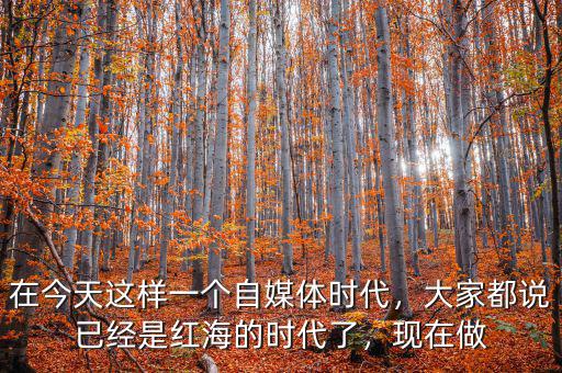 在今天這樣一個(gè)自媒體時(shí)代，大家都說已經(jīng)是紅海的時(shí)代了，現(xiàn)在做