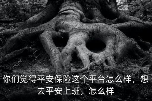 你們覺得平安保險這個平臺怎么樣，想去平安上班，怎么樣