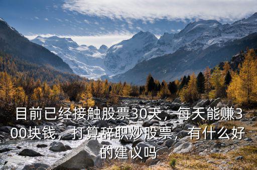 目前已經接觸股票30天，每天能賺300塊錢，打算辭職炒股票，有什么好的建議嗎