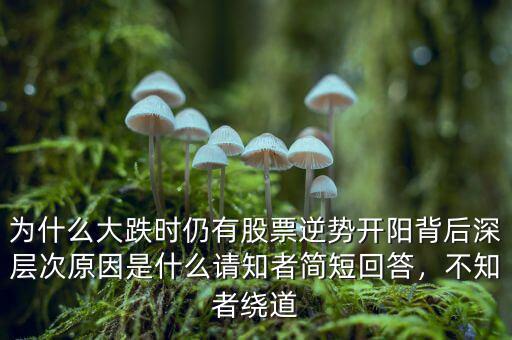 為什么大跌時(shí)仍有股票逆勢開陽背后深層次原因是什么請知者簡短回答，不知者繞道