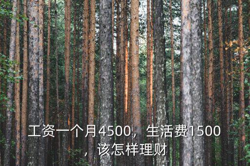 工資一個(gè)月4500，生活費(fèi)1500，該怎樣理財(cái)