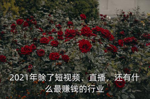 2021年除了短視頻、直播，還有什么最賺錢的行業(yè)