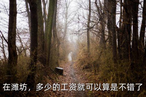 在濰坊，多少的工資就可以算是不錯(cuò)了