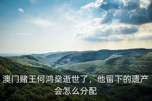 澳門賭王何鴻燊逝世了，他留下的遺產(chǎn)會(huì)怎么分配