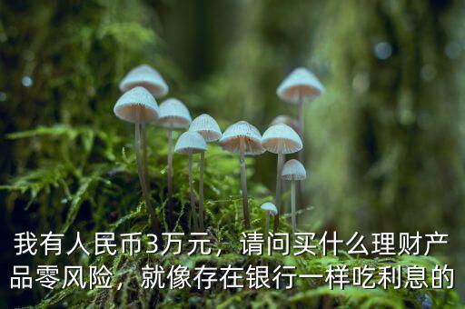 我有人民幣3萬元，請問買什么理財產(chǎn)品零風(fēng)險，就像存在銀行一樣吃利息的
