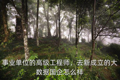 事業(yè)單位的高級工程師，去新成立的大數(shù)據(jù)國企怎么樣