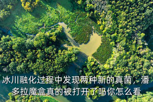 冰川融化過程中發(fā)現兩種新的真菌，潘多拉魔盒真的被打開了嗎你怎么看