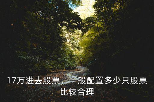 17萬進去股票，一般配置多少只股票比較合理
