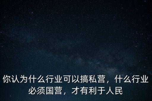 你認為什么行業(yè)可以搞私營，什么行業(yè)必須國營，才有利于人民